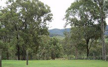 Elfin Hill - Tourism Cairns 1