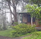 Ghost Hill Road - Tourism Cairns