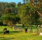 Giba Gunyah Country Cottages - Tourism Cairns