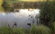 East Bowral NSW Tourism Cairns