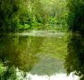 Mangrove Yoga Ashram - - Tourism Cairns