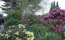 Silvermere Guesthouse - - Tourism Cairns 1
