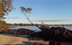 Tree Tops Bed And Breakfast Jervis Bay - thumb 6