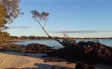 Tree Tops Bed And Breakfast Jervis Bay - Tourism Cairns 6