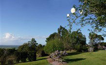 Yellow Dog Cottage - - Tourism Cairns 3