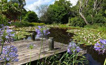 Yellow Dog Cottage - - Tourism Cairns 4