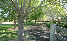 Yellow Dog Cottage - - Tourism Cairns 6