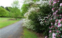 Lennox Head Beachouse YHA - Tourism Cairns 1