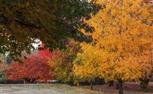 Lennox Head Beachouse YHA - Tourism Cairns 2