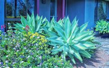 Retreat Homestead - Tourism Cairns 0