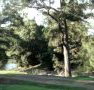 Rustic Caravan Park - Tourism Cairns