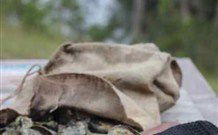 The Woods At Pokolbin - Tourism Cairns 3