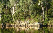 The Woods At Pokolbin - Tourism Cairns 5