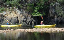 The Woods At Pokolbin - Tourism Cairns 6