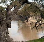 Valley View Cottage Hunter Valley - Tourism Cairns