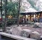 Williams River Holiday Park - Tourism Cairns