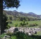 Woolshed Hill Estate - Tourism Cairns