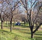 Worrowing Boat Shed - Tourism Cairns