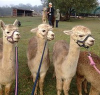 Bunyip Springs Farmstay - Tourism Cairns