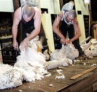 The Woolshed at Jondaryan Caravan and Camping - Tourism Cairns