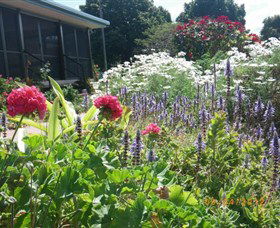 Eastwood Farm - Tourism Cairns 0