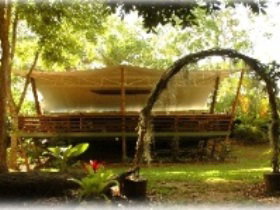 Cedar Park Rainforest Resort - Tourism Cairns 2