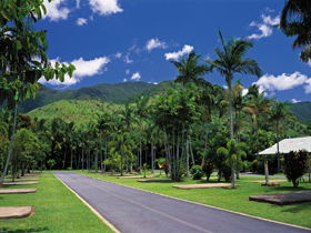 BIG4 Cairns Crystal Cascades Holiday Park - Tourism Cairns 1