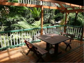 Daintree Secrets Waterfall Sanctuary - Tourism Cairns 3
