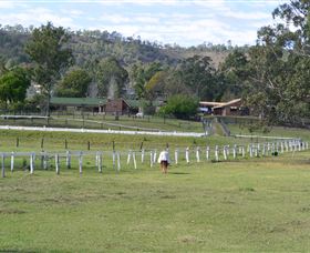 Kellarni Downs Farmstay-Scenic Rim - Tourism Cairns 0
