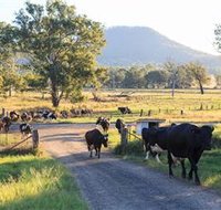 Tommerups Dairy Farmstay - Tourism Cairns