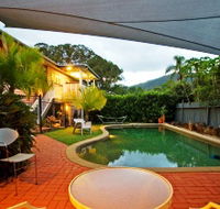 The Odd Gecko - Tourism Cairns