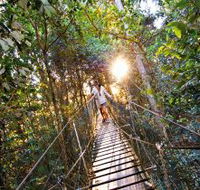 O'Reilly's Rainforest Retreat - Tourism Cairns