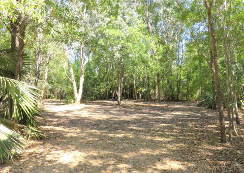 Bitter Springs Cabins And Camping - Tourism Cairns 5
