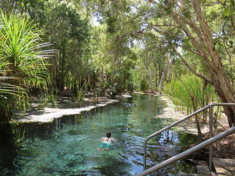 Bitter Springs Cabins And Camping - Tourism Cairns 6
