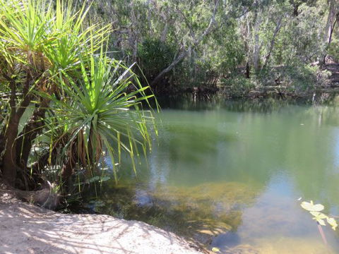 Bitter Springs Cabins And Camping - Tourism Cairns 7