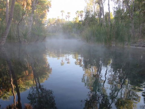 Bitter Springs Cabins And Camping - Tourism Cairns 8