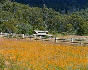 Pender Lea Alpine Guest Accommodation - Tourism Cairns 1