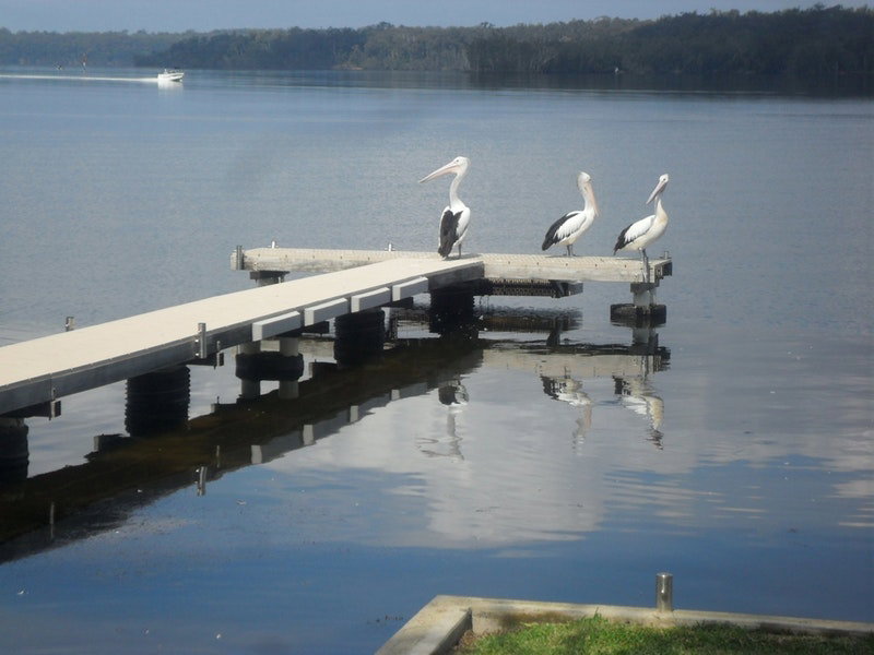 Basin View NSW Tourism Cairns
