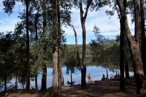 Moosewood - Tourism Cairns 2