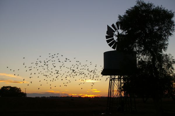 Tooraweenah NSW Tourism Cairns