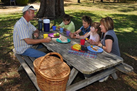 Naracoorte Caves Camping And Accomodation - Tourism Cairns 0