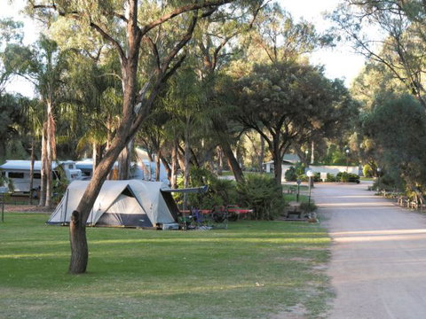 Riverbend Caravan Park Renmark - Tourism Cairns 1