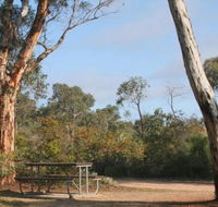 Drummonds Camp at Avon Valley National Park - Tourism Cairns