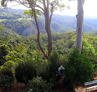 Mt Tamborine Motel - Tourism Cairns