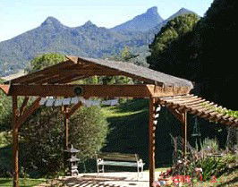 Shambala Bed & Breakfast - Tourism Cairns 3