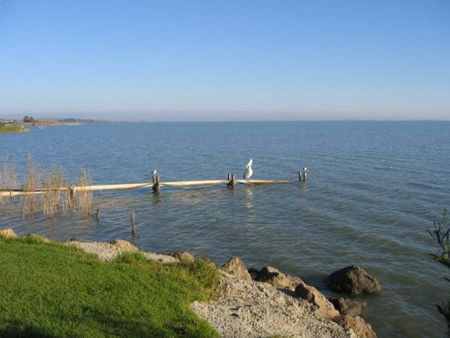 Lake Albert Caravan Park - Tourism Cairns 5