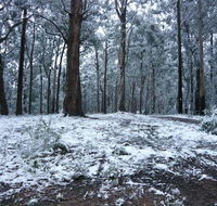 High Peaks Cottages - Tourism Cairns