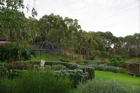 Pear Tree Hollow - Tourism Cairns 5