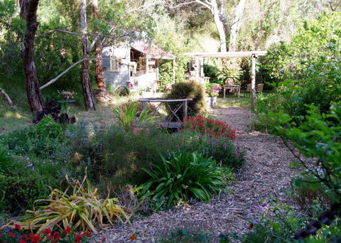 Pear Tree Hollow - Tourism Cairns 8