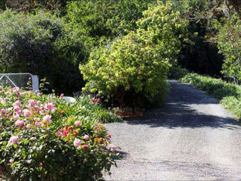 Brown's House Bed & Breakfast - Tourism Cairns 3